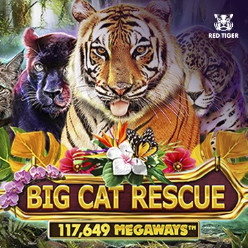 Big Cat Rescue Megaways - ADUGAMING