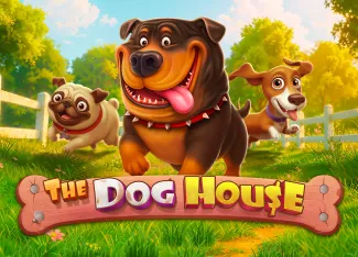 The Dog House - ADUGAMING