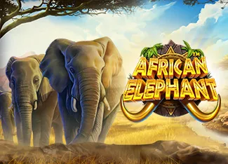 African Elephant - ADUGAMING